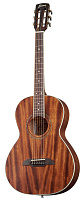 Framus FP 14 M NS  акустическая гитара Parlor, цвет натуральный