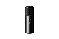 WARM AUDIO WA-8000 студийный ламповый микрофон с широкой мембраной