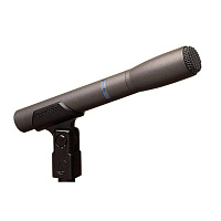 AUDIO-TECHNICA AT8010 Микрофон конденсаторный вокально-инструментальный всенаправленный 