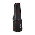 Prima P-100 4/4 Скрипка в комплекте (футляр, смычок, канифоль)