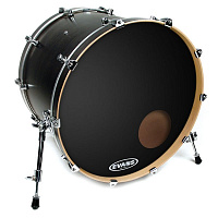 EVANS BD20RB  20" Передний пластик для бас бар.с отверстием 5" и демп.кольцом