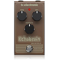 TC ELECTRONIC ECHOBRAIN ANALOG DELAY гитарная педаль эффектов