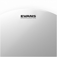 EVANS B13UV2  Пластик 13"