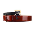 Prima P-100 1/2 Скрипка в комплекте (футляр, смычок, канифоль)