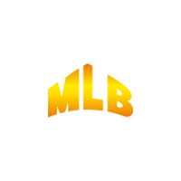 MLB SM-1000 WIRE CONTROLLER проводной пульт для генератора снега MLB SM-1000
