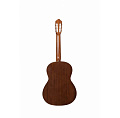 PEREZ 610 Cedar LTD 2019  классическая гитара, верх кедр, корпус махагон