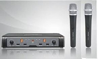 Pasgao PAW266/PAH172 584-607 MHz 2-канальная радиосистема с двумя ручными передатчиками