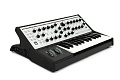 Moog Sub Phatty Монофонический аналоговый синтезатор
