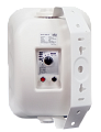 SVS Audiotechnik WSP-40 White Громкоговоритель настенный, цвет белый