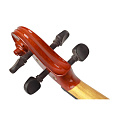 Prima P-100 1/2 Скрипка в комплекте (футляр, смычок, канифоль)