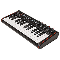 IK MULTIMEDIA iRig Keys 2 Mini USB MIDI-клавиатура для Mac и PC, 25 клавиш
