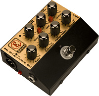 EDEN WTDI DIRECT BOX/PREAMP напольный директ бокс / предусилитель для бас-гитары