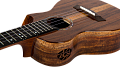 FLIGHT SPIRIT CONCERT EQ-A  укулеле концерт с активным звукоснимателем, массив акации, чехол