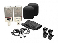 Austrian Audio OC818 Live Set набор из двух микрофонов, держатели, ветрозащита