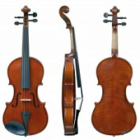 Strunal 16W 1/8 With Outfit Скрипка студенческая в футляре, со смычком и аксессуарами