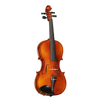 Strunal 16W 1/4 With Outfit Скрипка студенческая в футляре, со смычком и комплектом аксессуаров