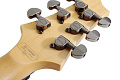Schecter SGR C-1 EB Гитара электрическая, 6 струн, корпус липа, гриф клен, лады 24 Medium, синий