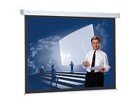 Projecta SlimScreen 180x180cm Matte White S 10200063 Экран настенный