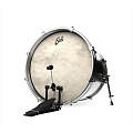 EVANS BD20CT Пластик 20"