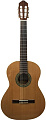 PEREZ 620 Cedar LTD 2019 классическая гитара, верх кедр, корпус махагон