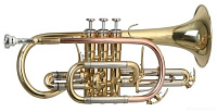 ROY BENSON BH-302 Bb баритон 4-помповый (3+1)