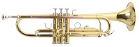 ROY BENSON TR-101 Bb труба (цвет золото)