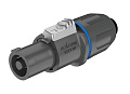 ROXTONE RS4FP-WP-Blue Разъем кабельный спикон, 4-контактный, "мама", IP66