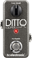 TC ELECTRONIC DITTO LOOPER педаль лупер для гитары 