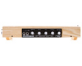 Moog Etherwave Theremin Plus  Расширенная версия терменвокса, имеющая дополнительные возможности