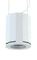 CVGAUDIO SUBone model DH-8W/CR/T Профессиональный подвесной трансляционный сабвуфер, 8", 100 Вт/100 В, пассивный кроссовер 120 Гц, фазоинвертор, цвет белый
